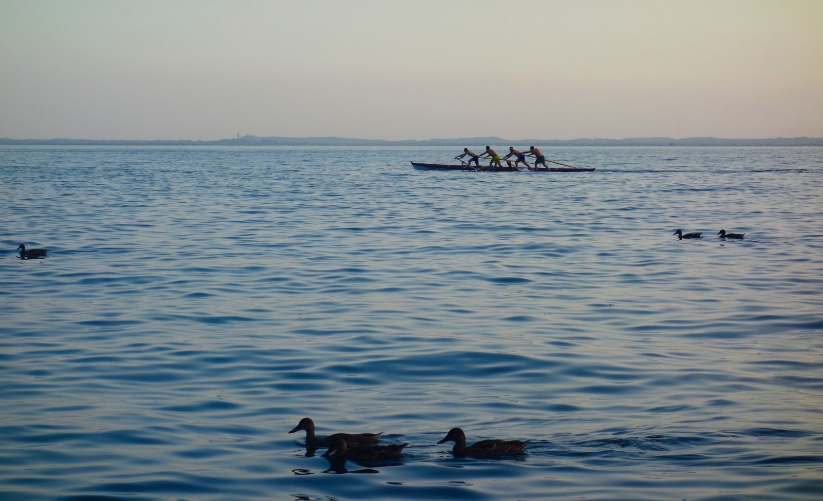 Maria del Mar Ruiz Pérez "Remant i nedant"