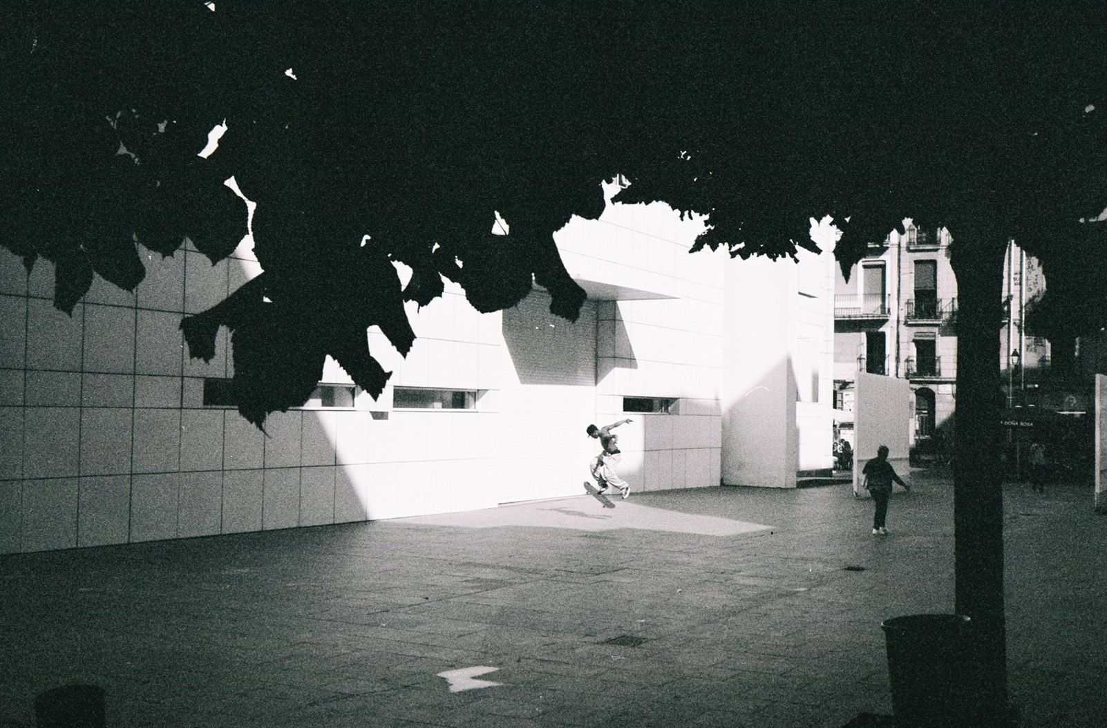 Roland Fercocq "Juego de Sombras"