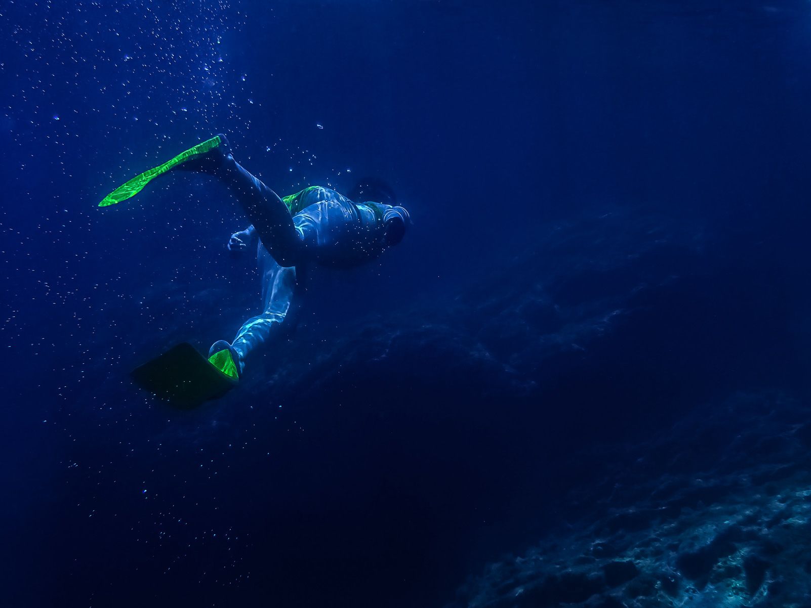 Xavi Palahí Calopa "Just keep swimming"