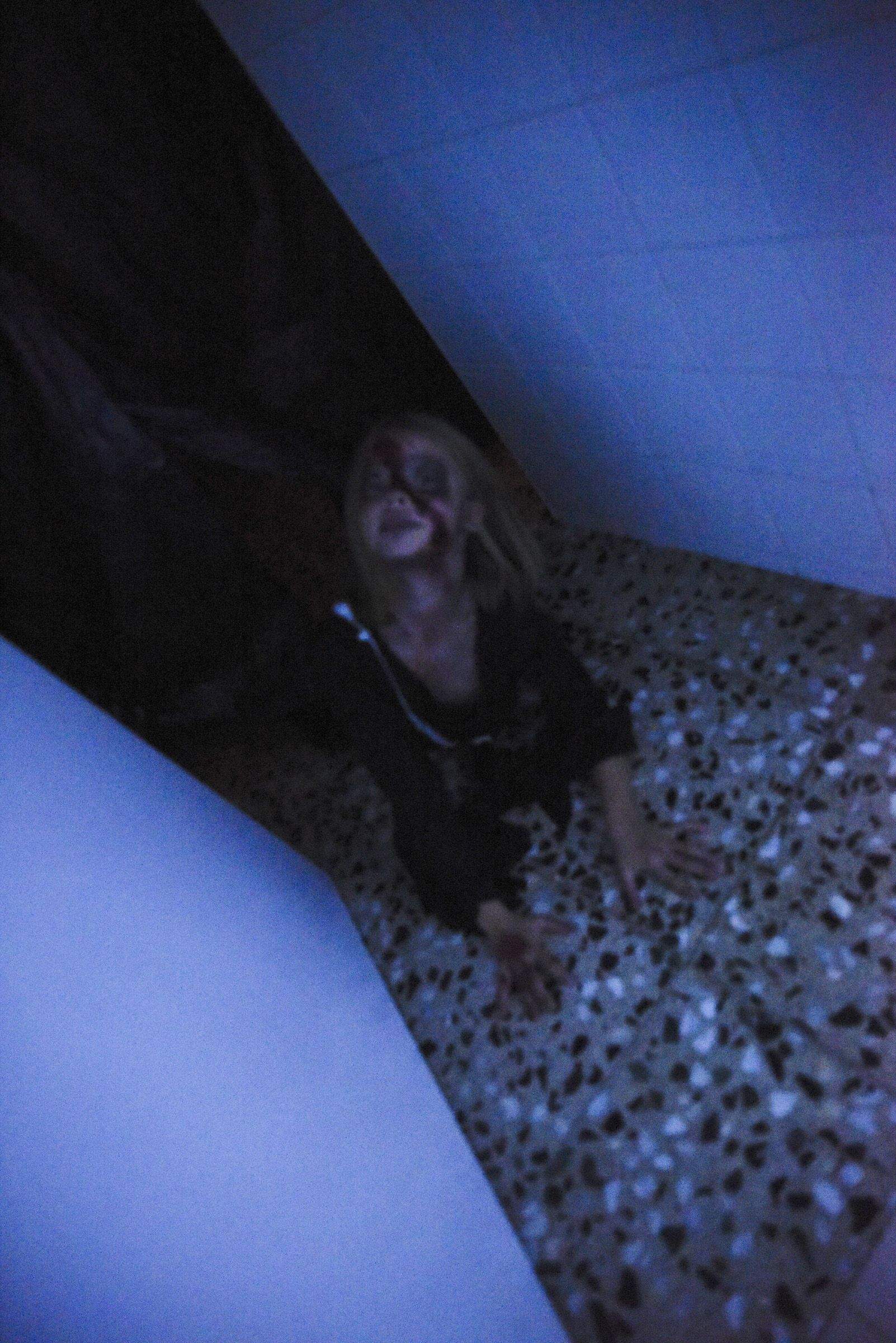 Castanyada i halloween a Sant Cugat. Foto: Bernat Millet.