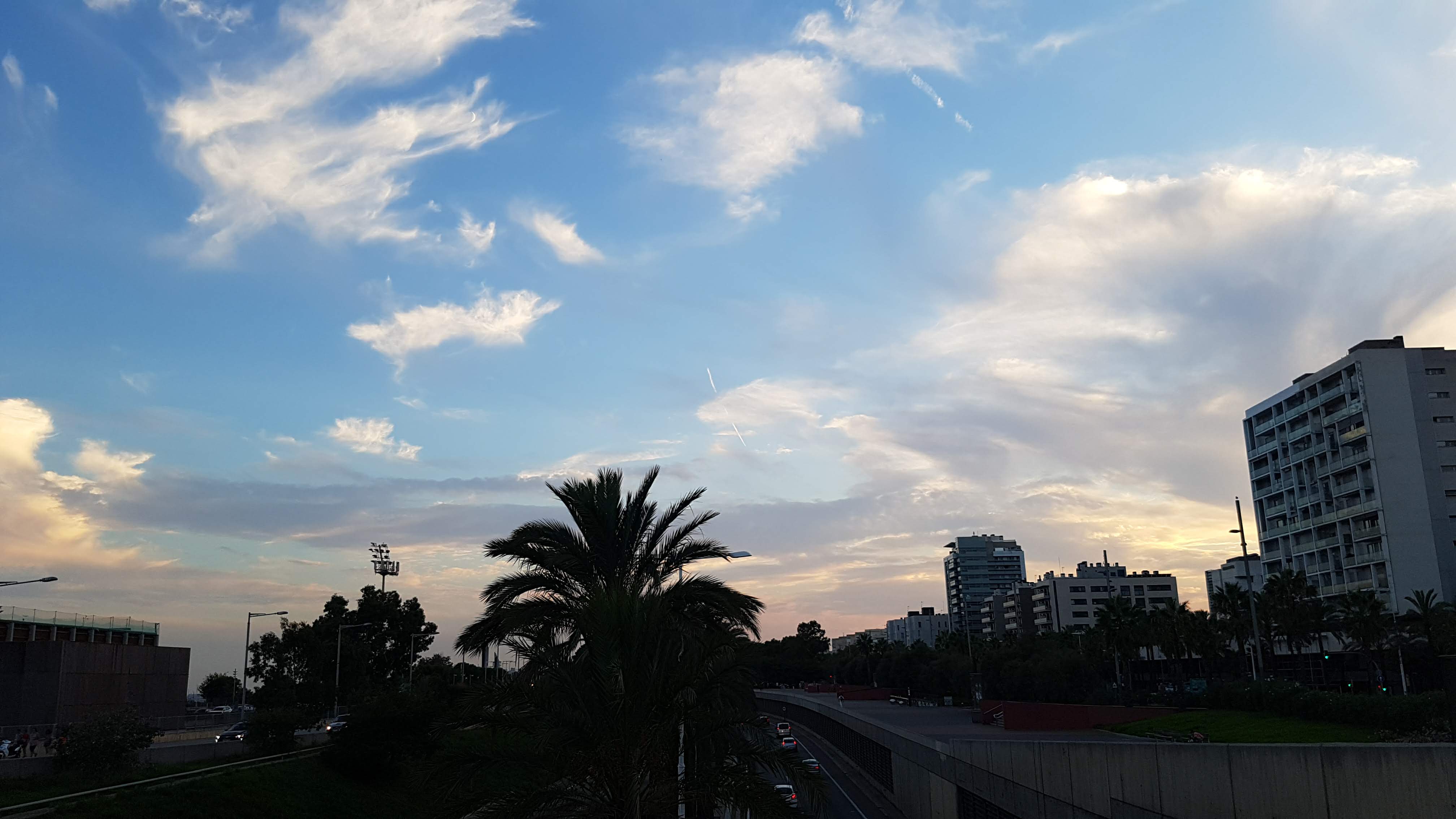 Adriana Zapata "Libertad"