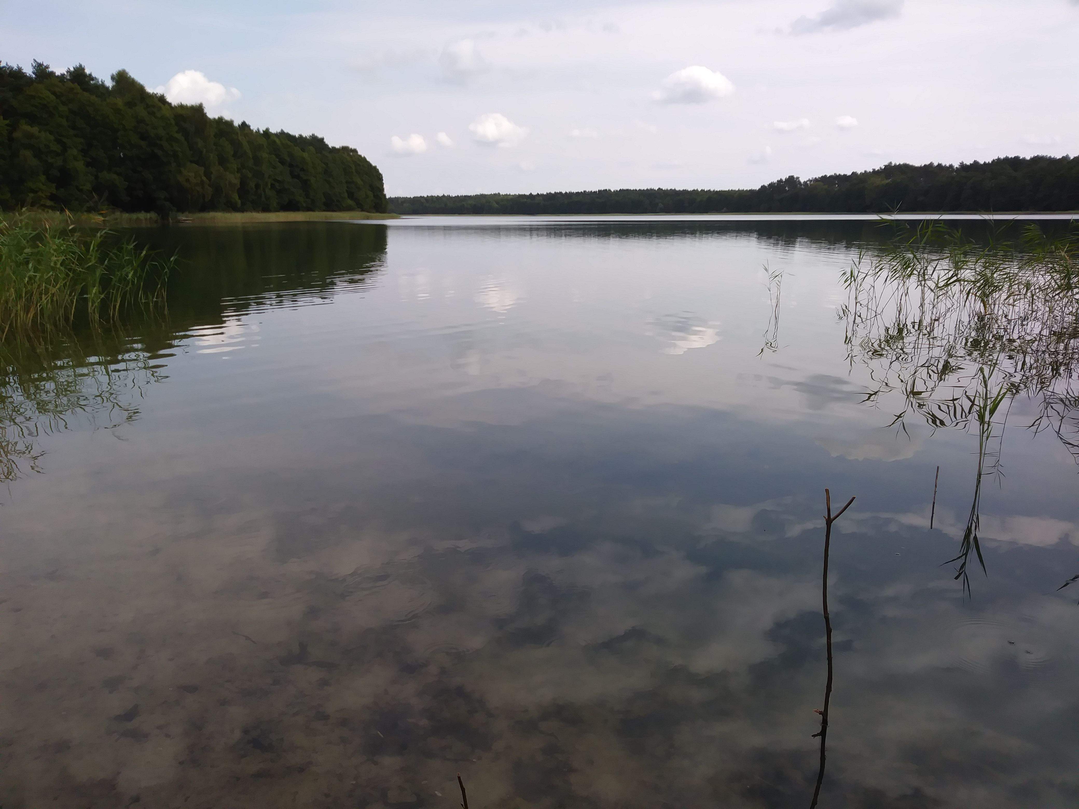 Agata Razniewska "Tranquil·litat..."