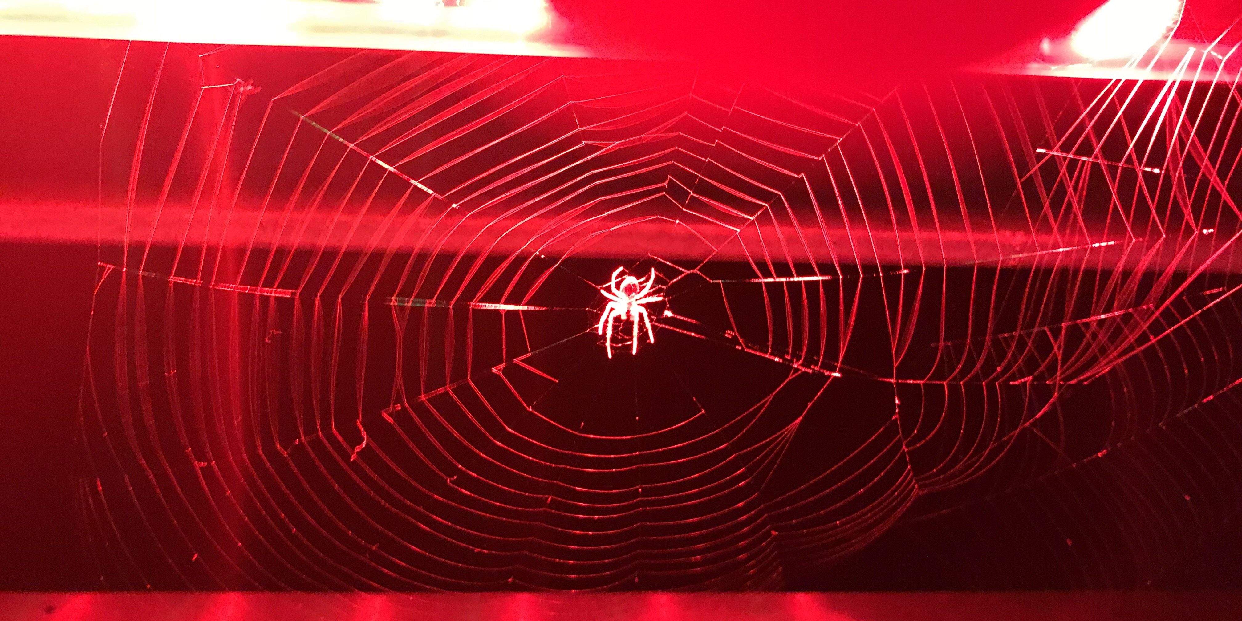 Ainhoa Miró Pérez de Lazárraga "Aranya radioactiva"