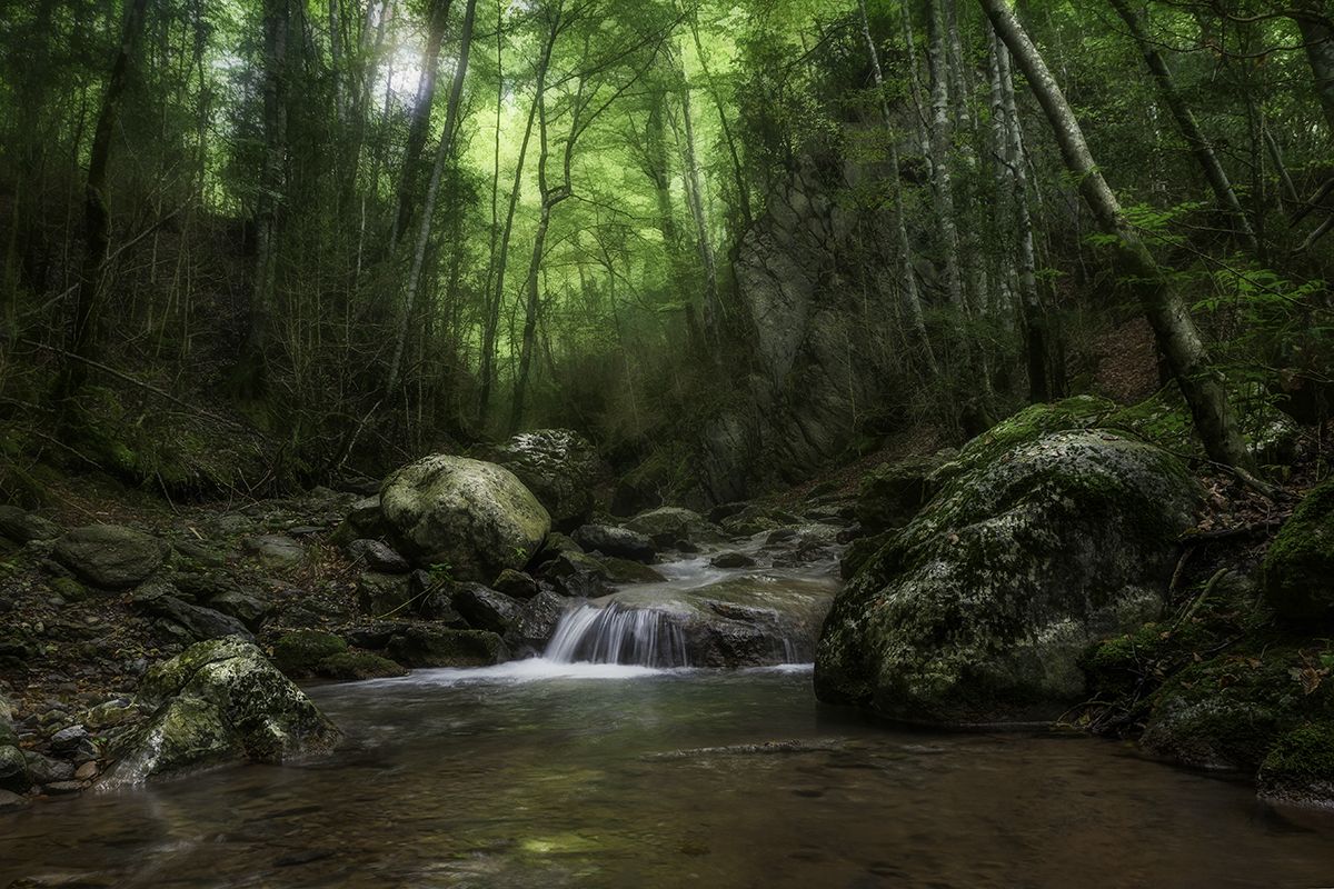 Albert Rios Lopez "aigua i natura"