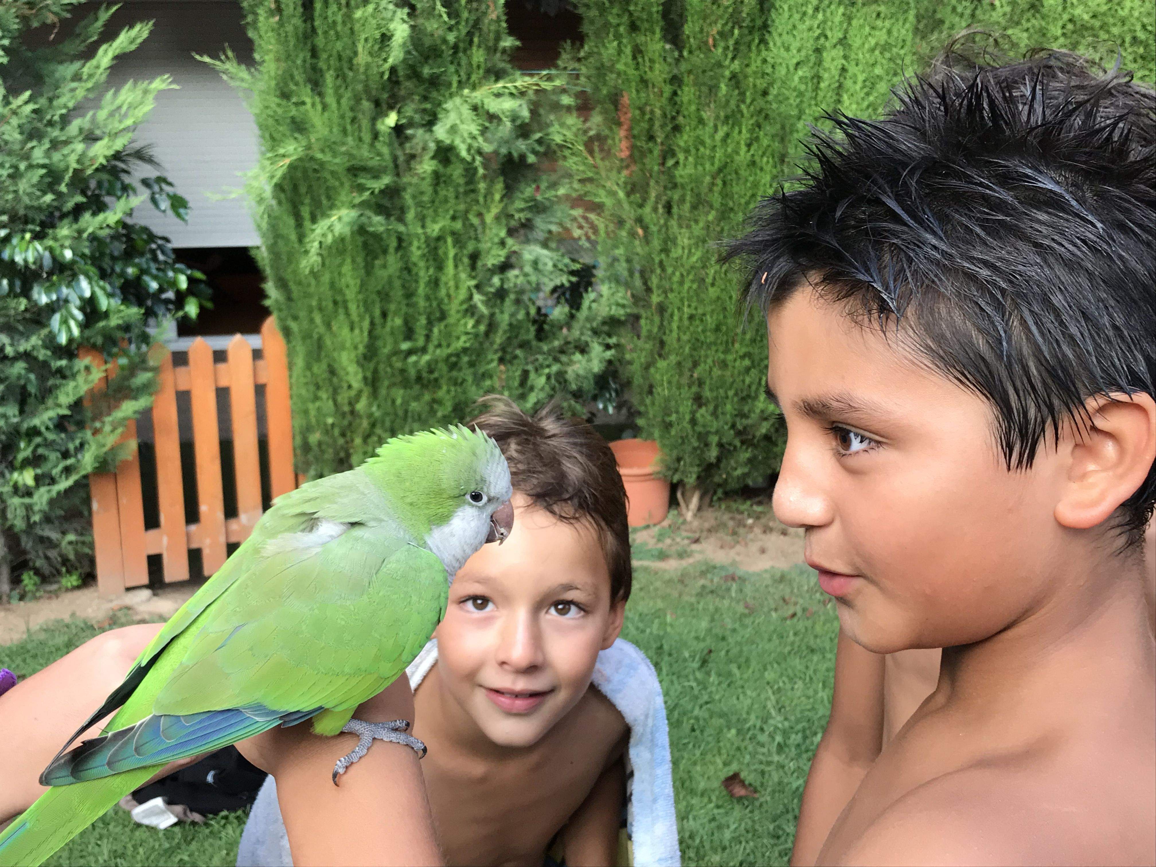 Alessandra Grisolia "Xerrades al jardí"