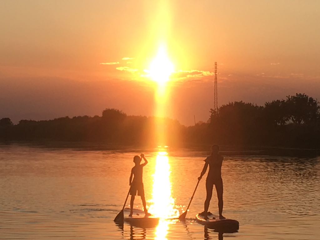 Ana Jané Bonet "Gola vestida de Grog"