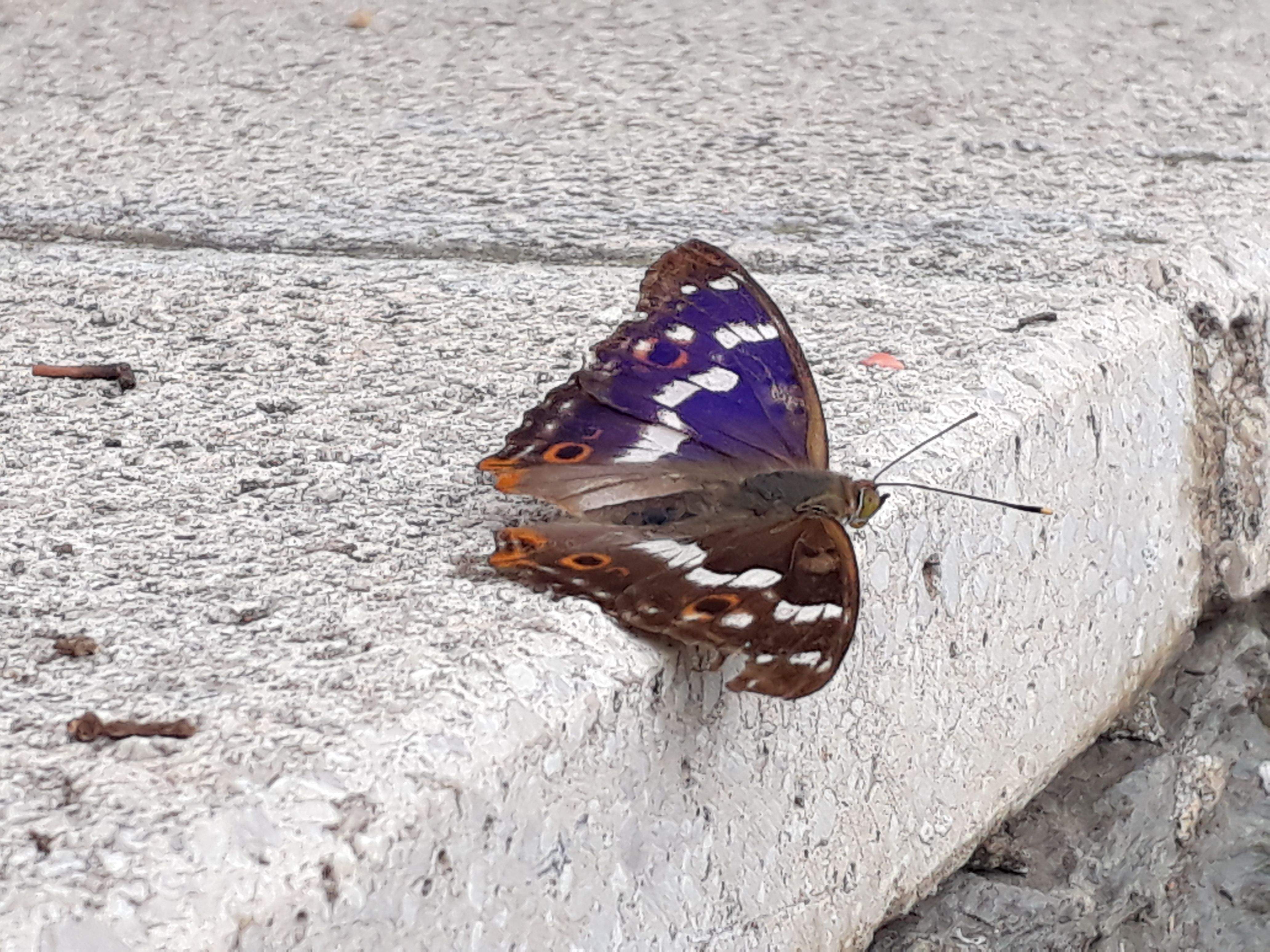 Clara Bargalló Jiménez "L'instant"