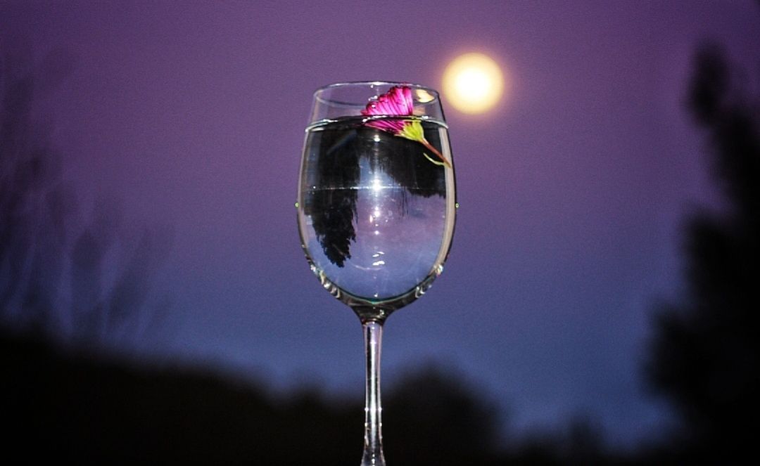 Cristina Burguillos Viladot "Brindant amb la lluna"