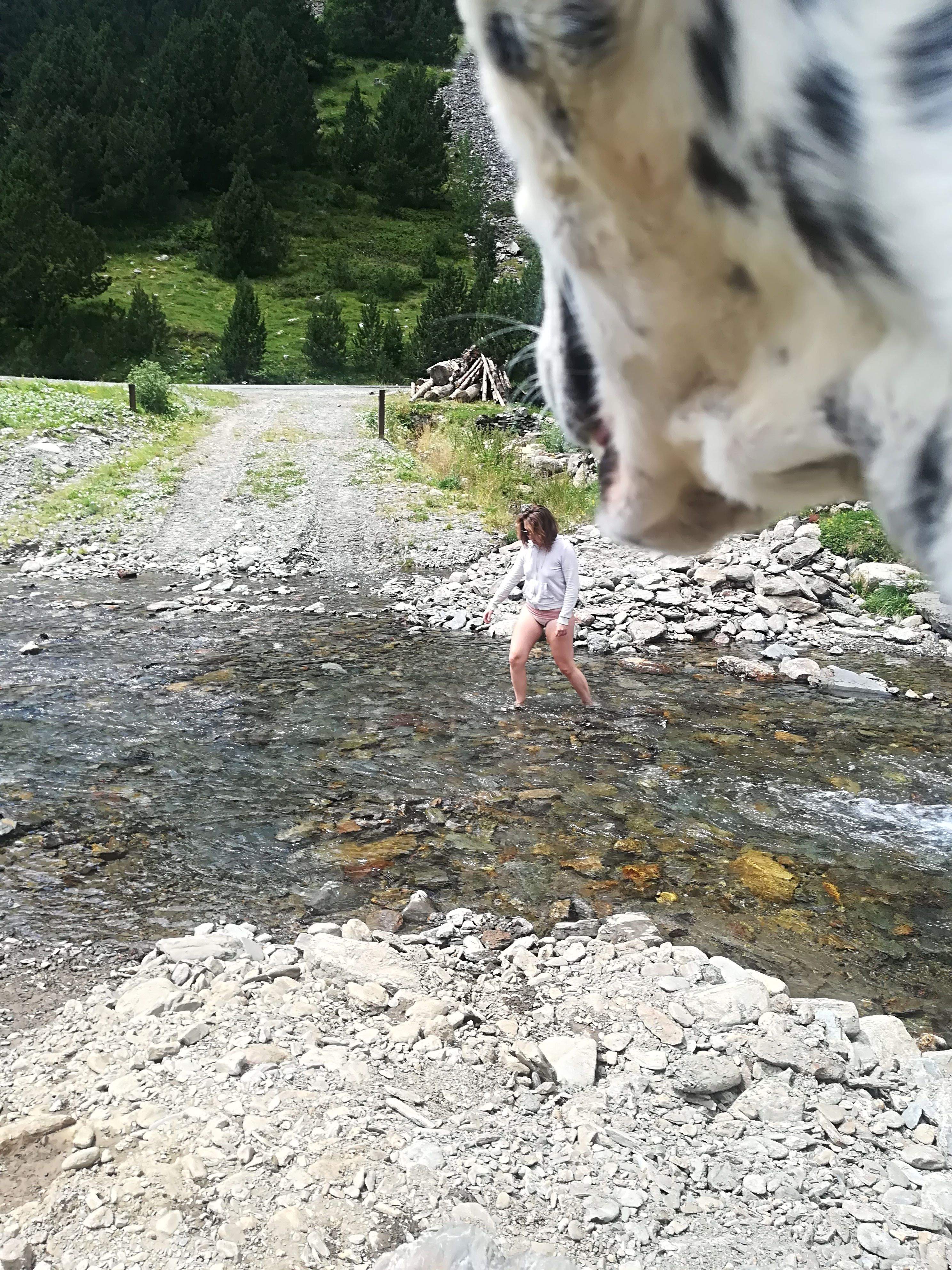 Dominique Heathcote "Patufeta"