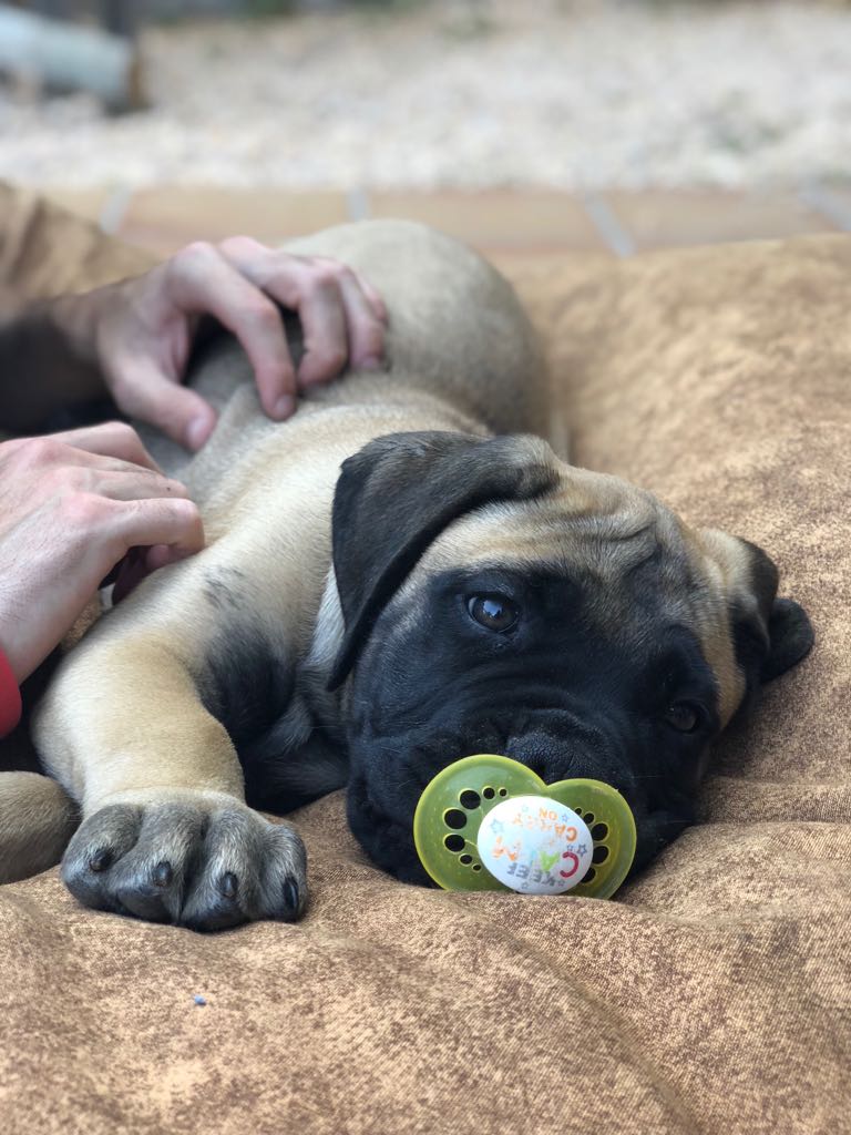 Emma Bruix Olivé "Tot tendresa"