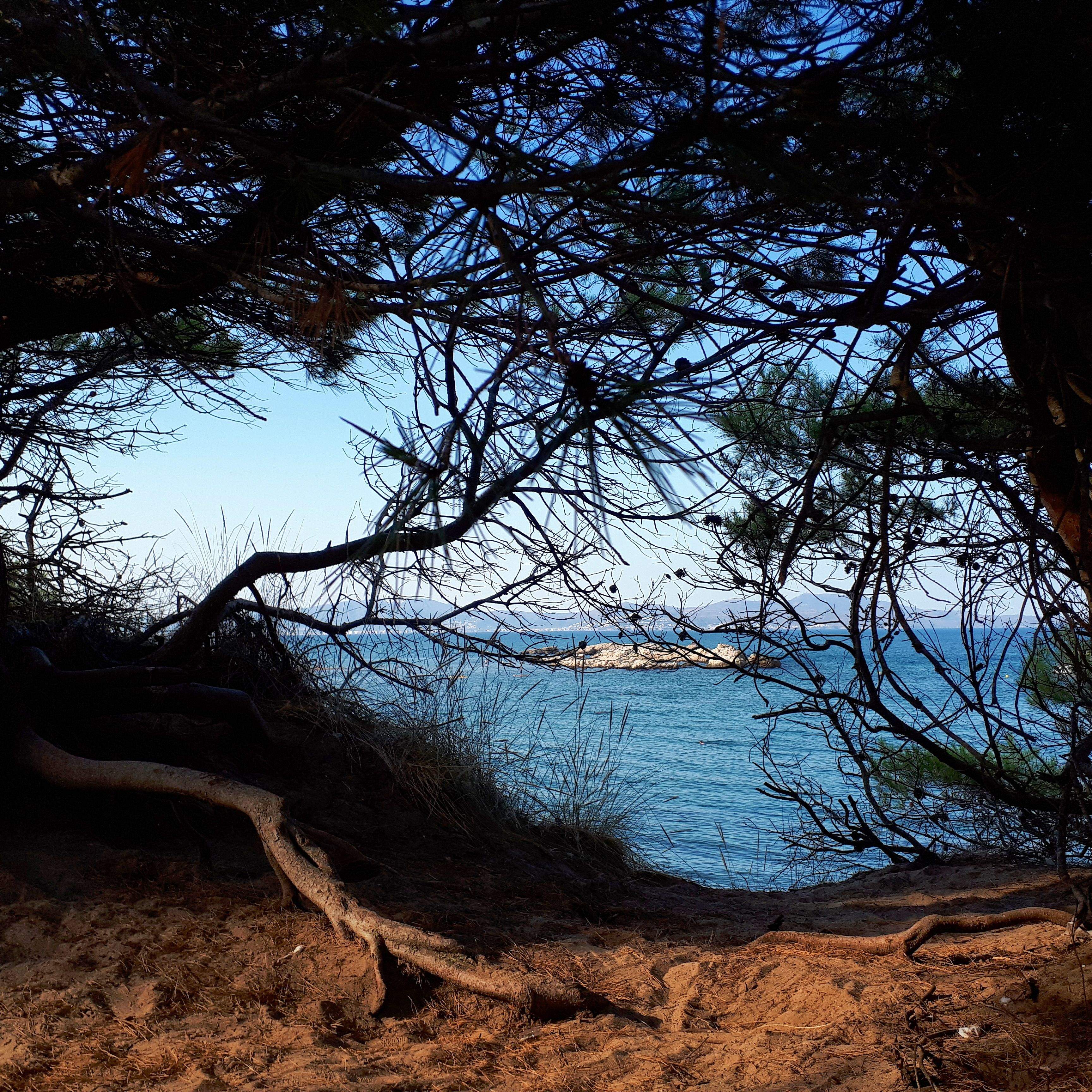 Eulalia Caravaca Martinez "Terra, mar i aigua"