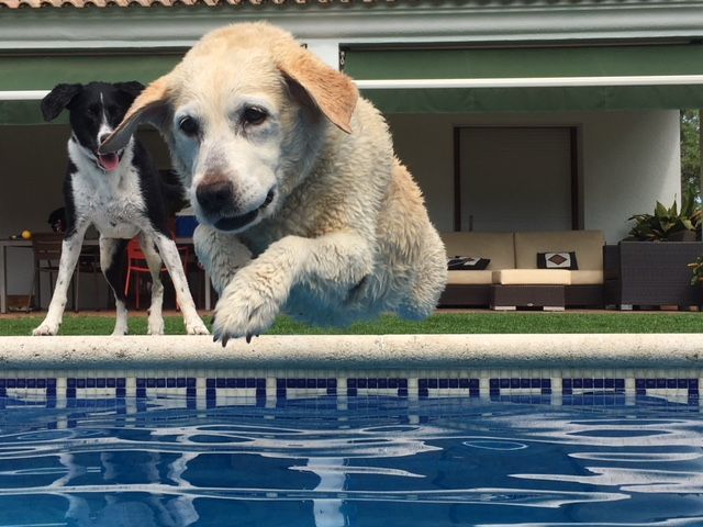 Gemma Rey Gasset "Hasta el infinito y mas allá!"