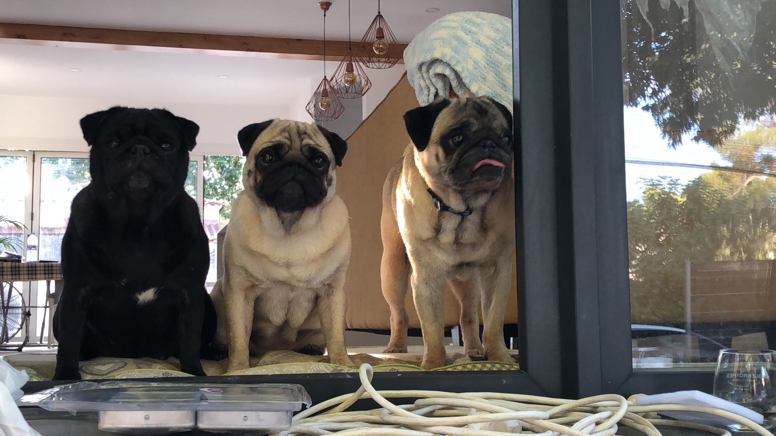 German Suárez Rosés "Aire"