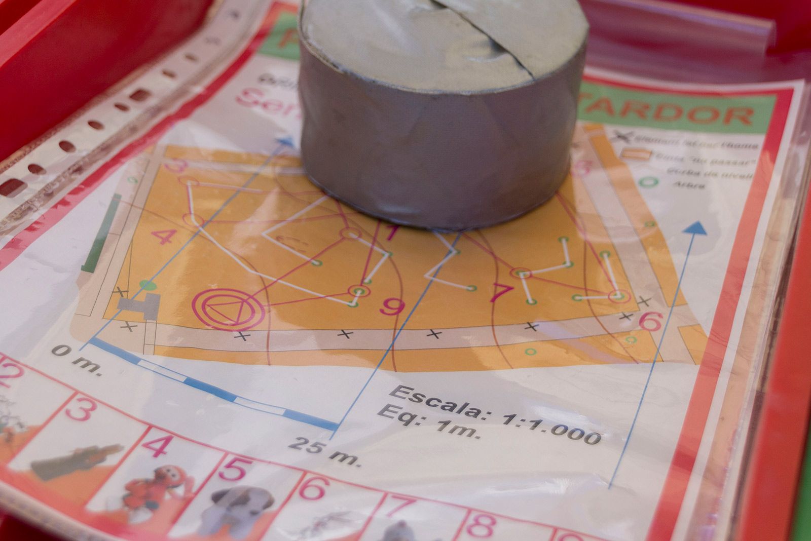 Cursa d'orientació a la Festa de la Tardor. FOTO: Paula Galván