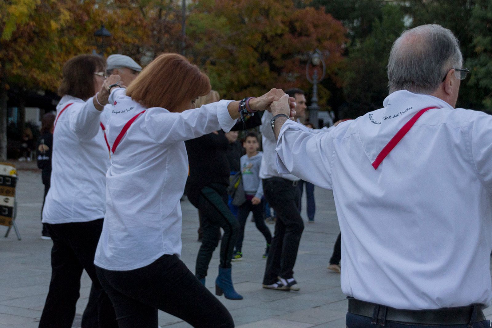 Ballada de sardanes. FOTO: Paula Galván