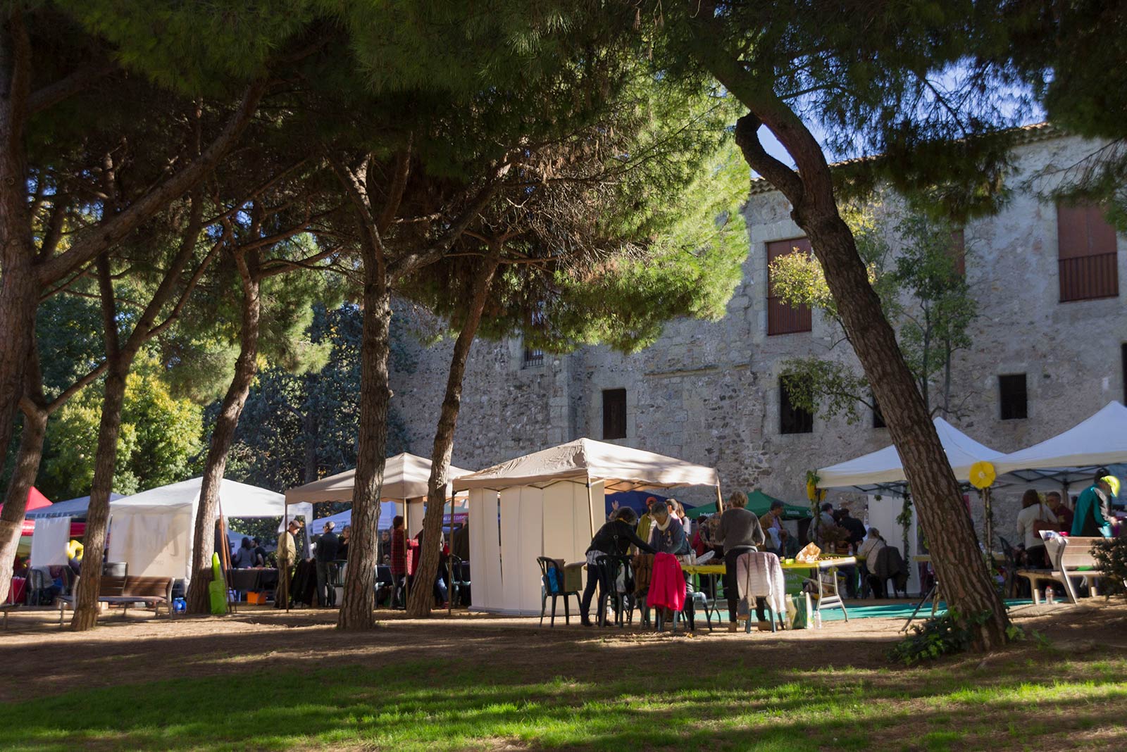 Fira d'entitats. FOTO: Paula Galván