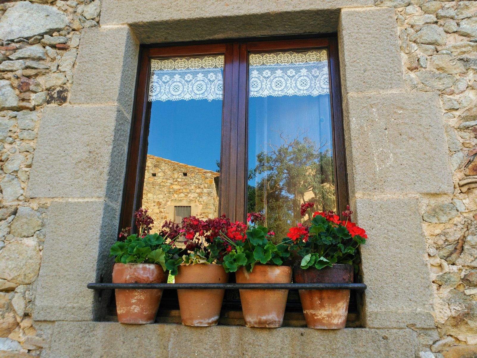 Michaela Pietryga "Colores de verano"