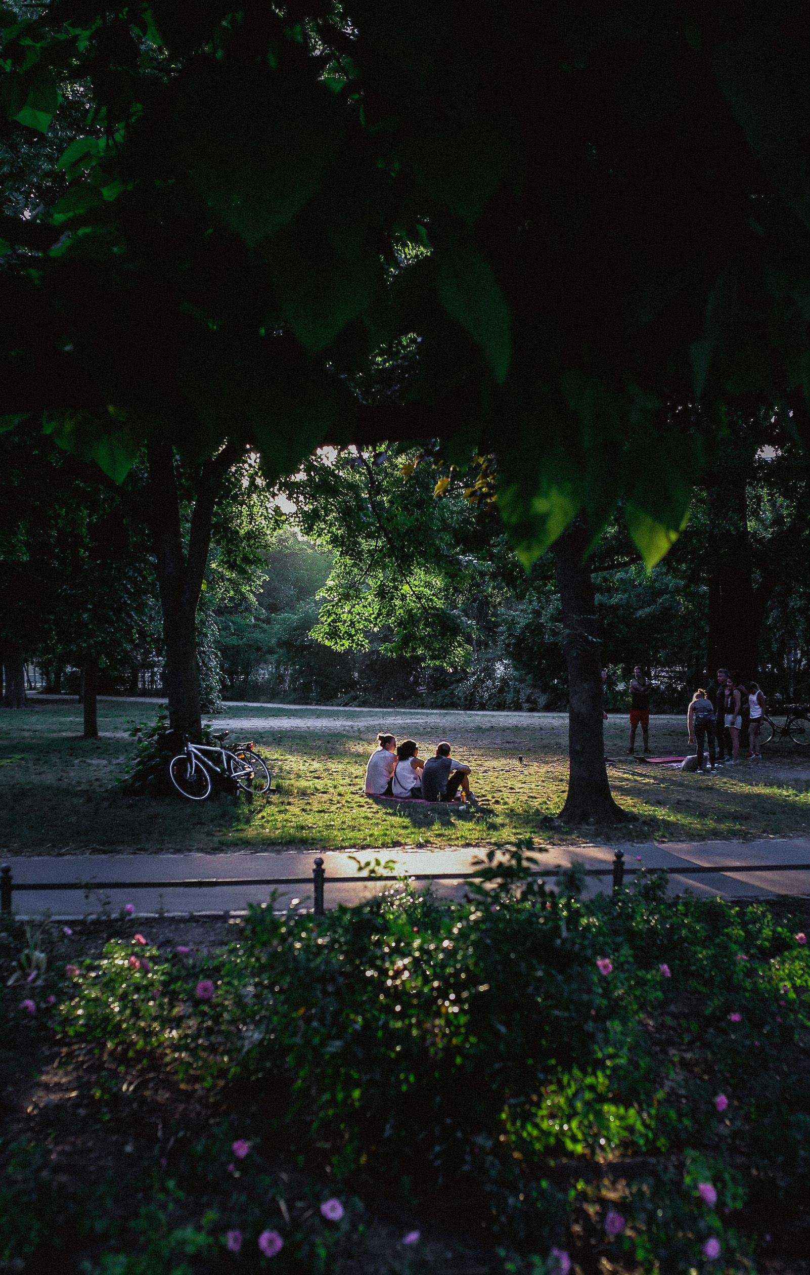 Natalia Creci "Reunión en el parque"