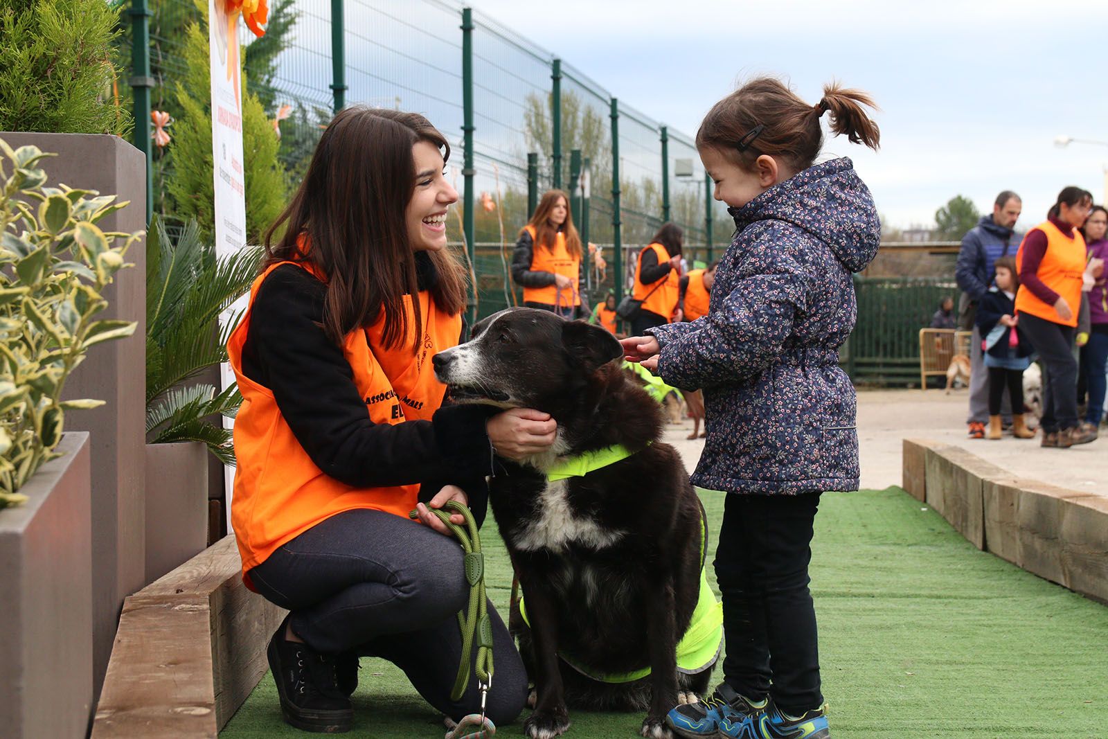 Jornada d'adopció de gossos i gats al Jardiland. Foto: Lali Álvarez