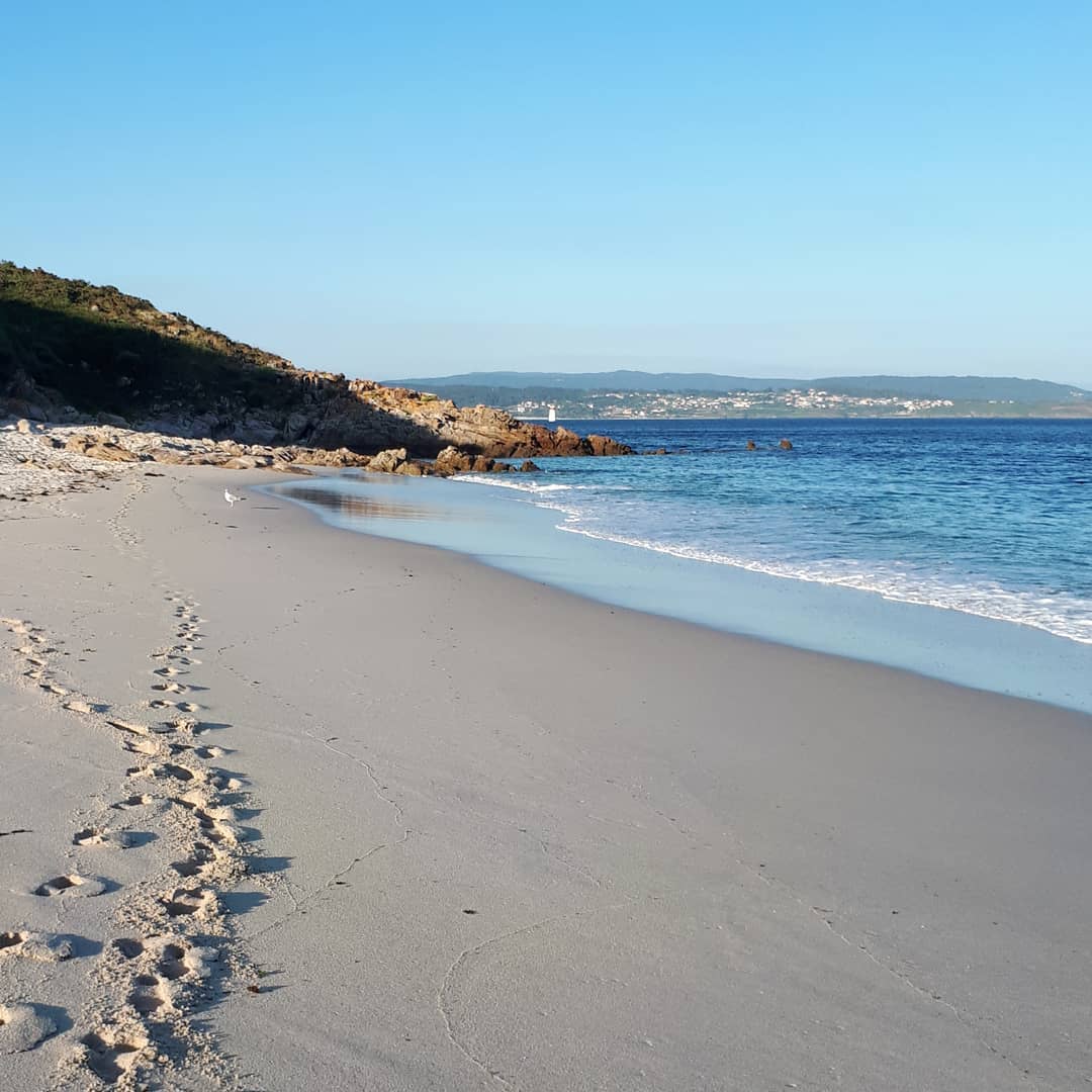 @Anittapatino "Paradise II" 