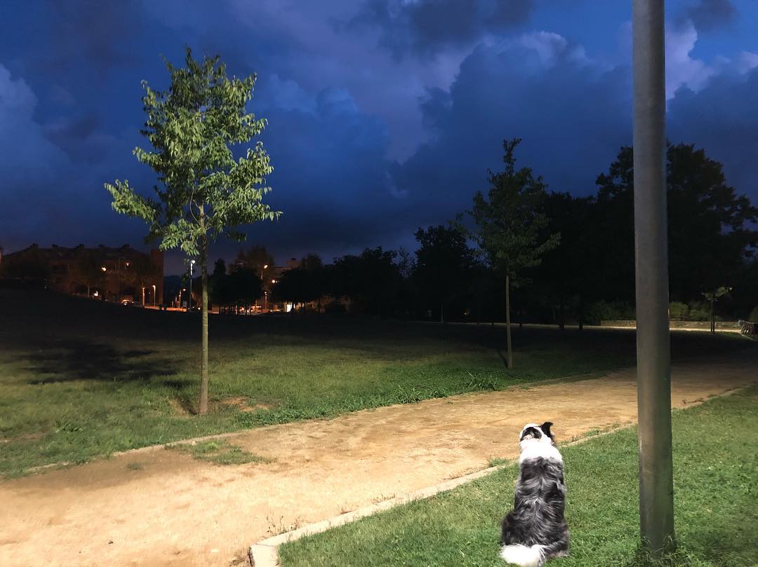 @dsam14  "Waiting for the storm"