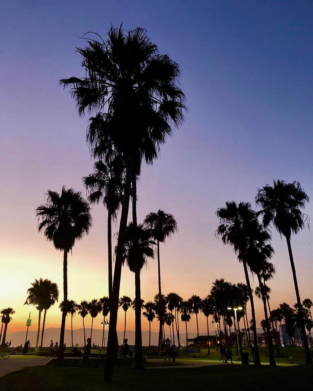 @Furgofan "Venice Beach, in LA. We love it."