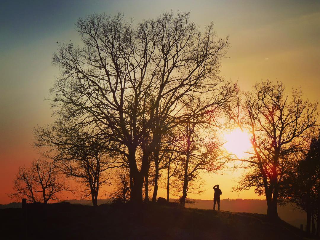 @galceranrosa "Colors"