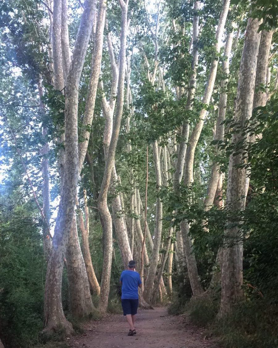 @galceranrosa "Descoberta"