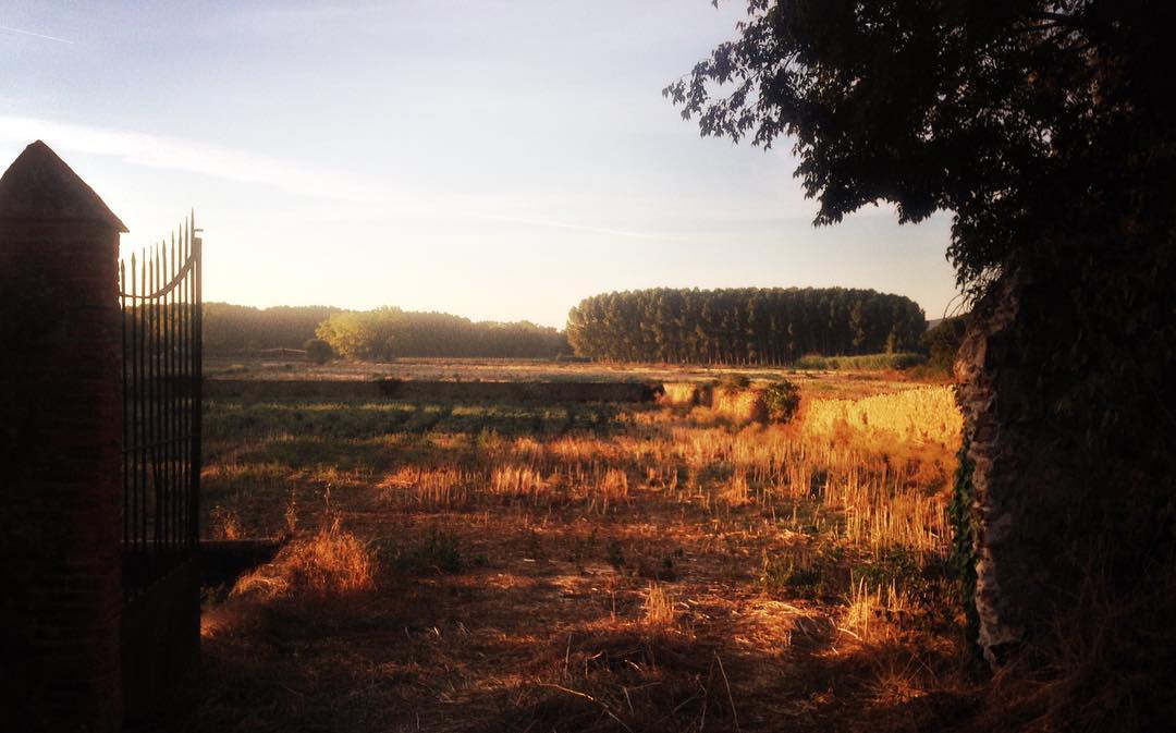 @gemmasagarra  "Dies festius a la vista."