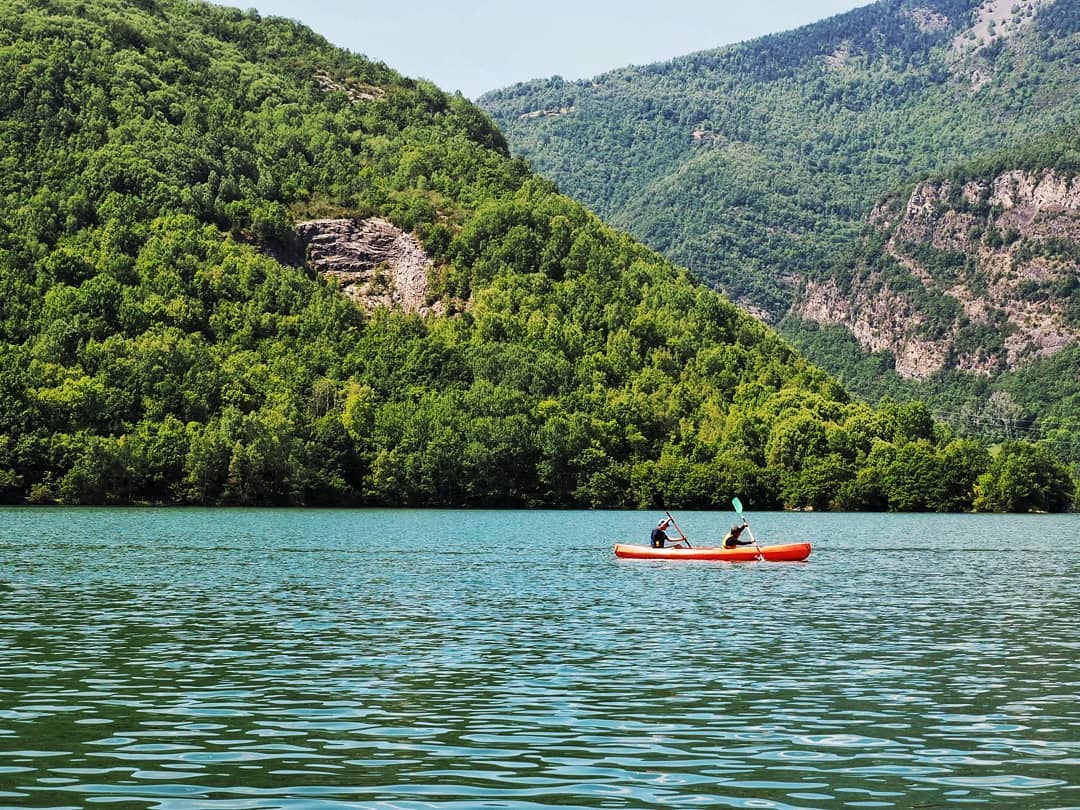 @idethbcn  "WILD LIFE"