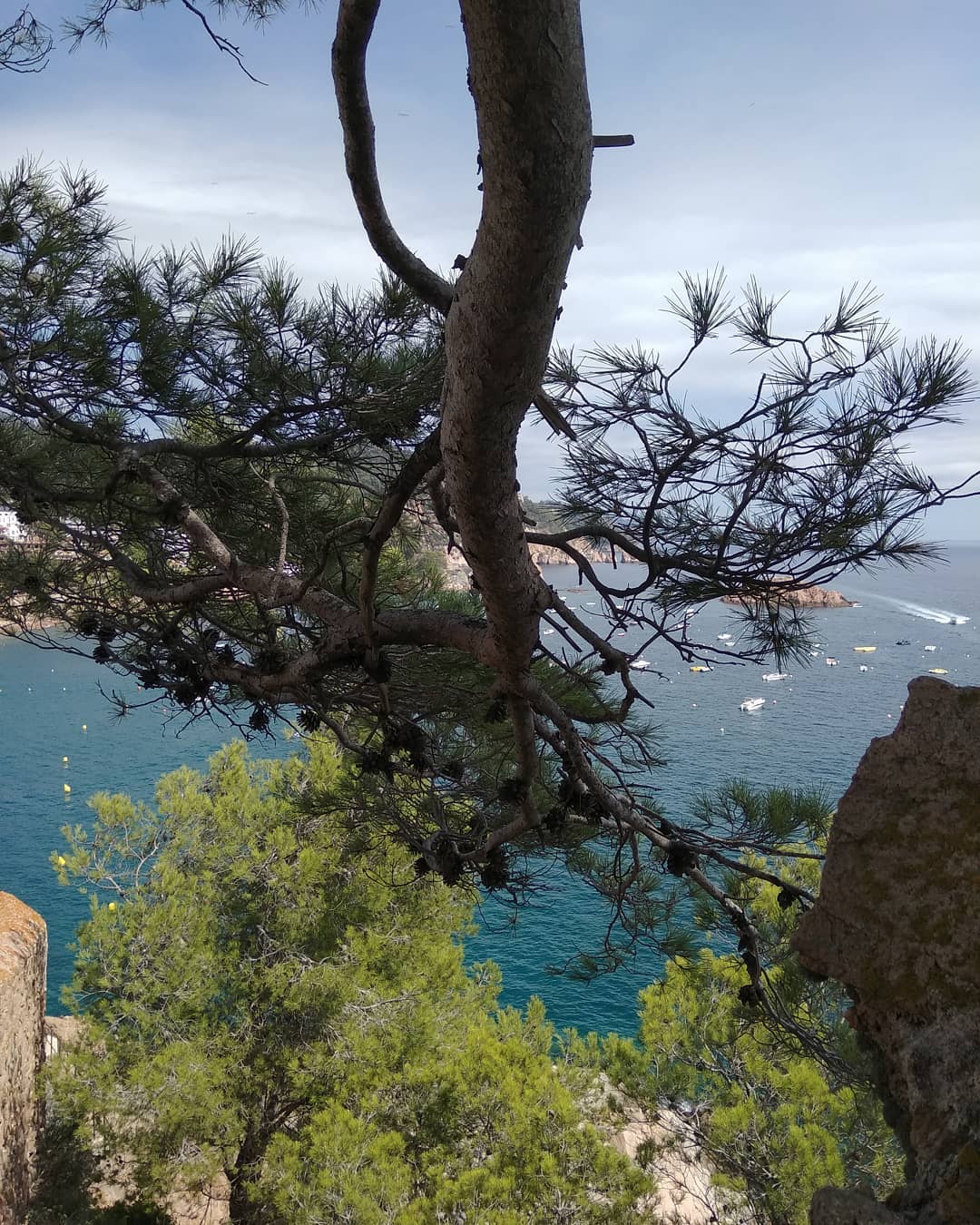 @isabelhc1008 "La Costa brava siempre merece una foto"