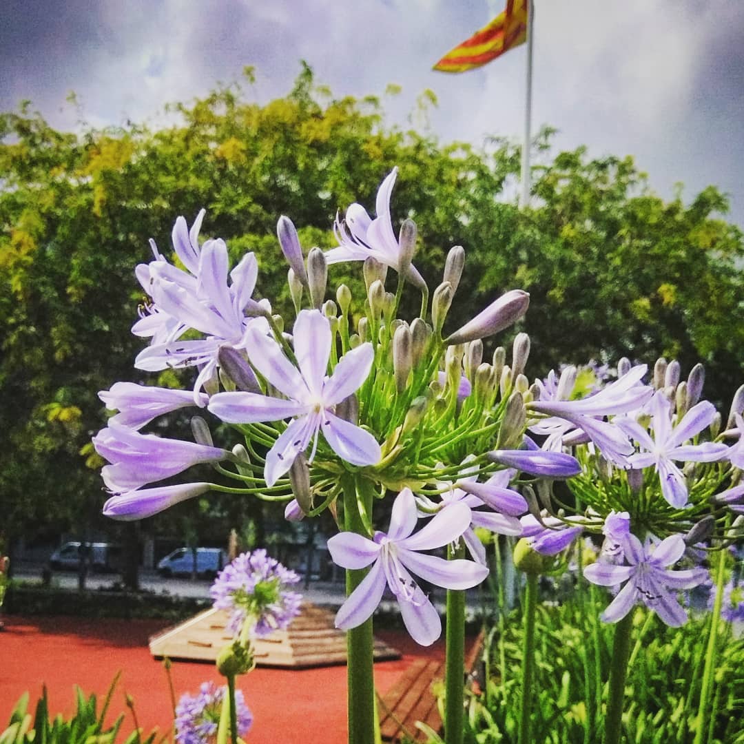 @janetgrecodesign "Beautiful"