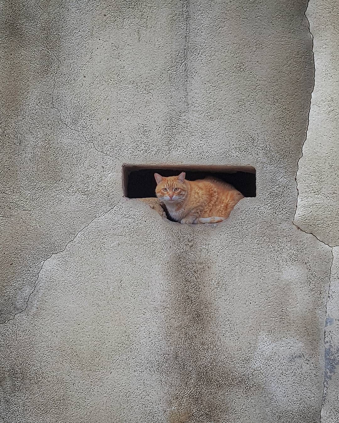 @jcontrerasra "En el hueco. Navata,Girona."