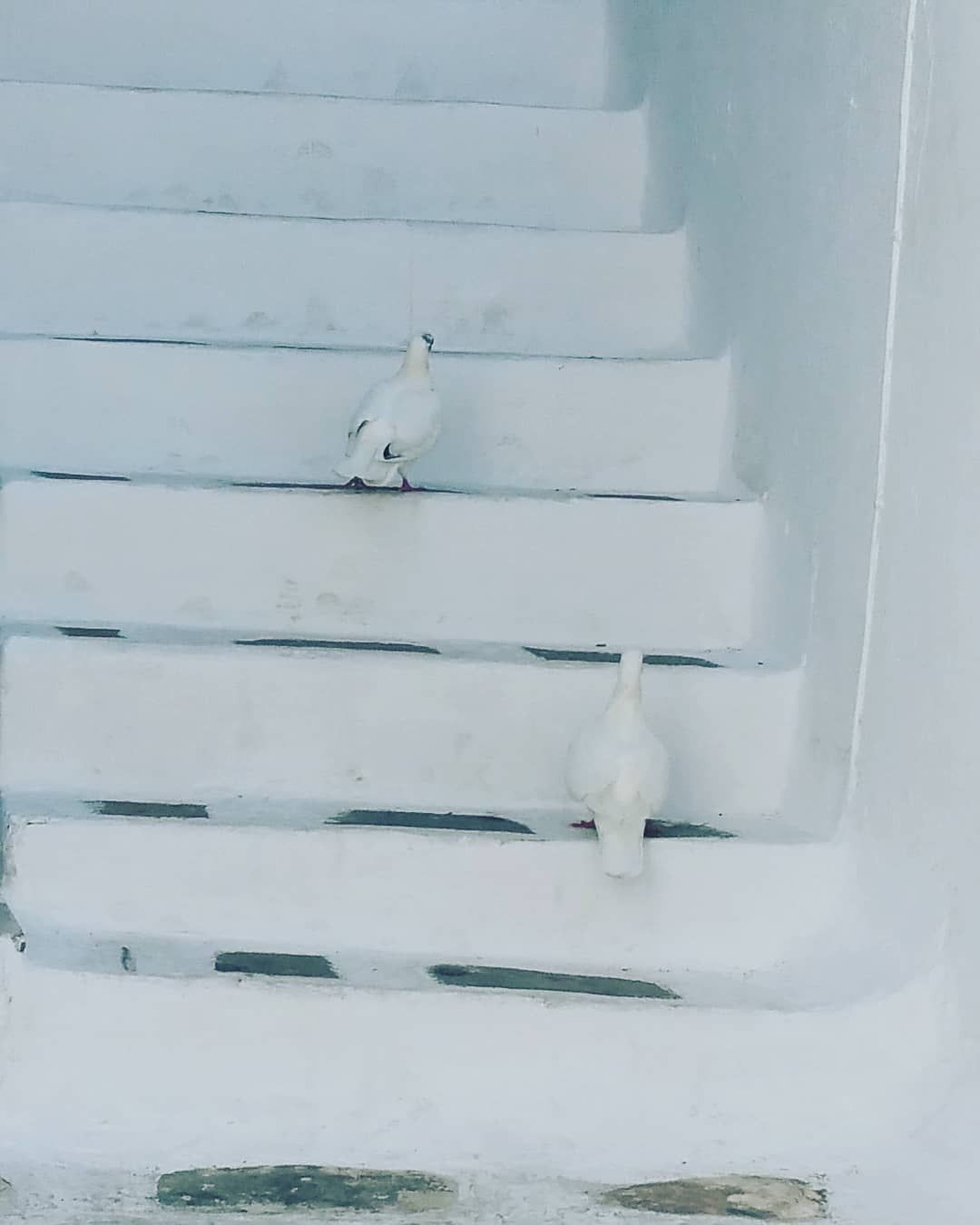 @Joancatalonia  "Setembre 2018"