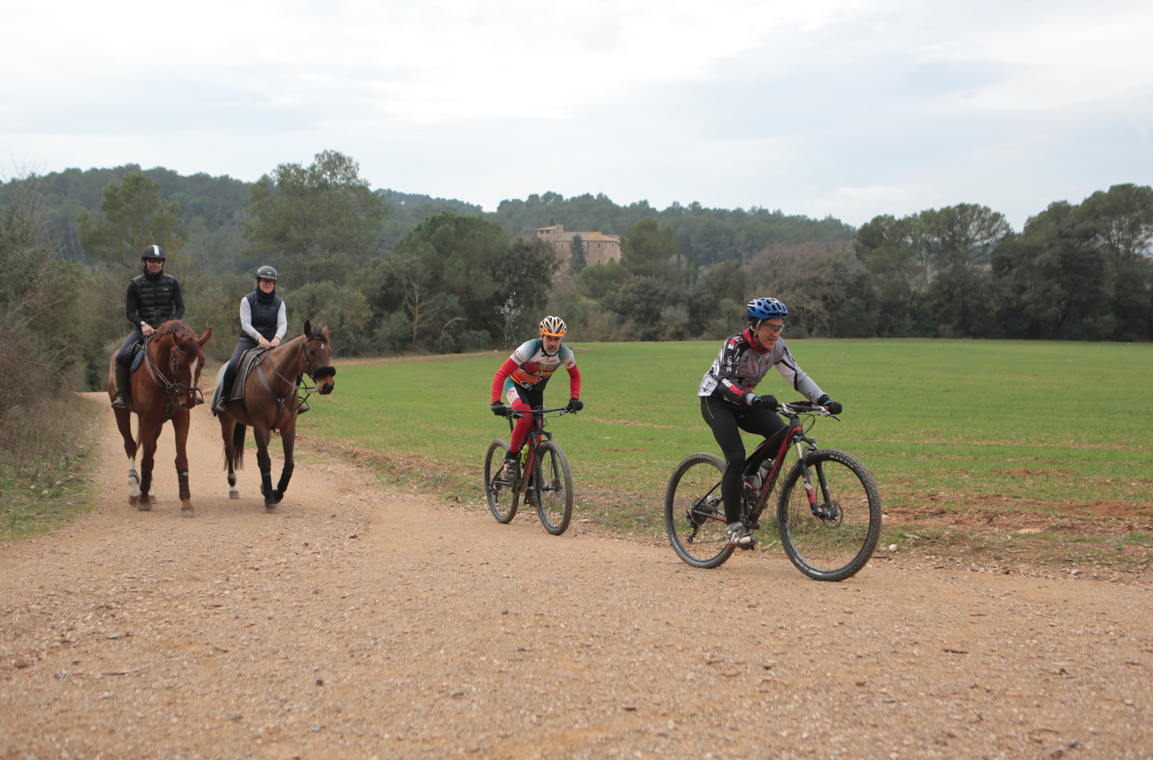 Compatibilitzar les activitats agrícoles i d'oci és un repte pel parc de Collserola FOTO: Artur Ribera