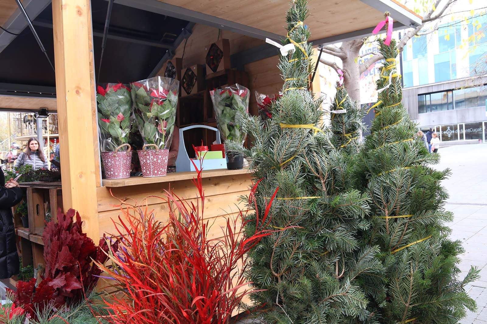 Nadal a Sant Cugat. Foto: Lali Álvarez