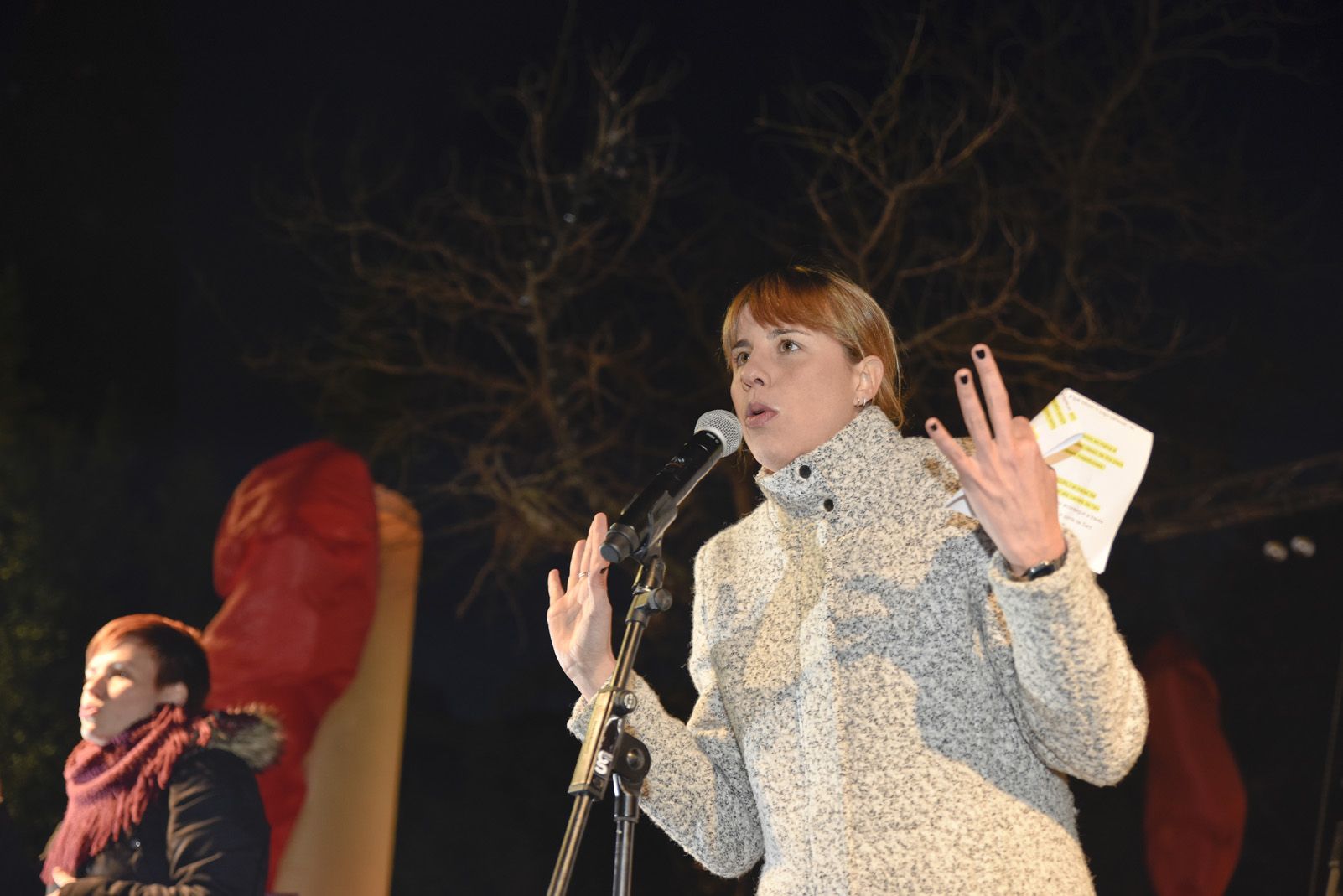 Encesa de llums de Nadal. Foto: Bernat Millet.
