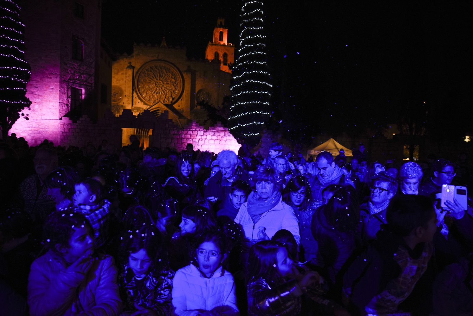 Encesa de llums de Nadal. Foto: Bernat Millet.