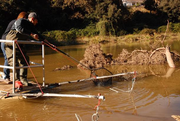Pesca elèctrica al pantà de Vallvidrera per retirar espècies exòtiques FOTO: Parc Natural de Collserola
