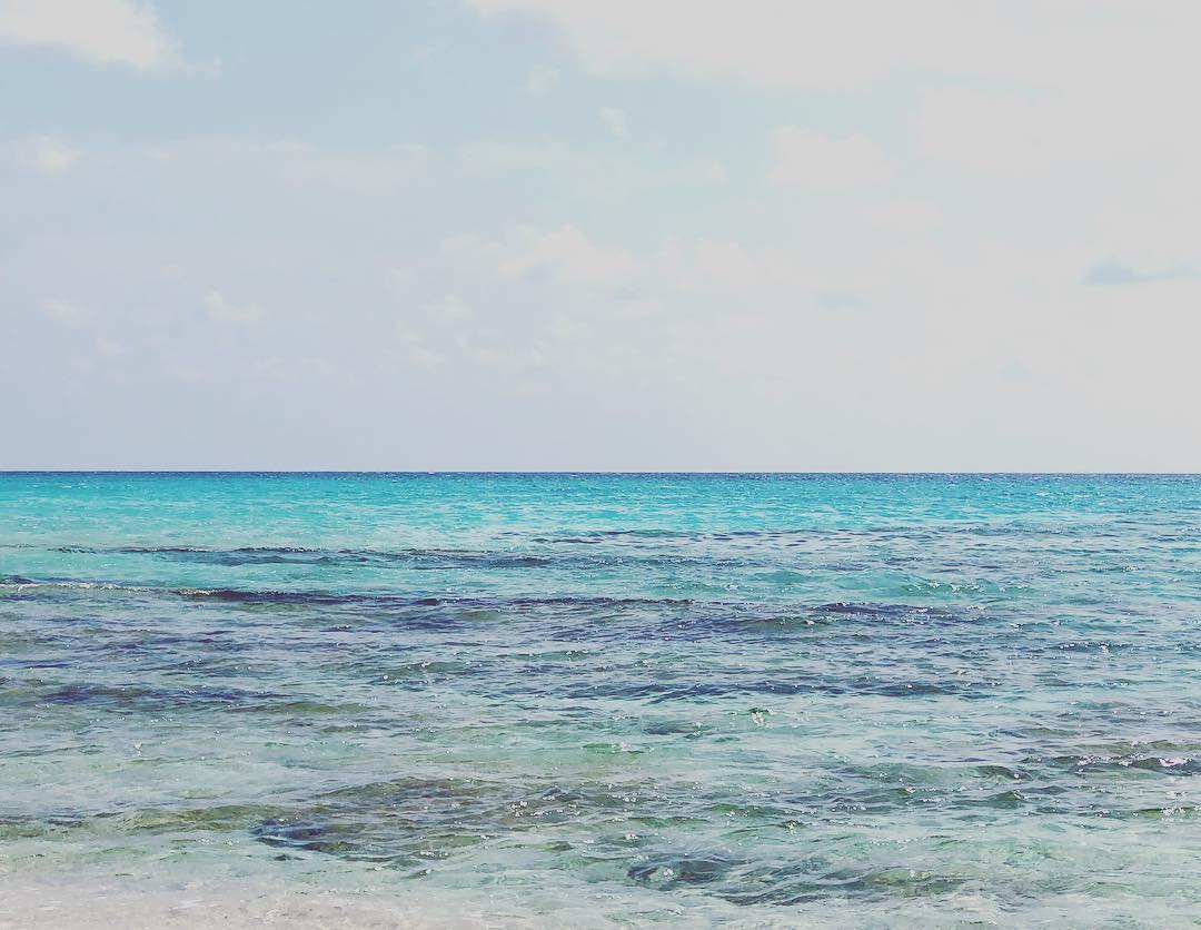 @margaserra "Mar. Hem vist l'infern de verds en companyia"