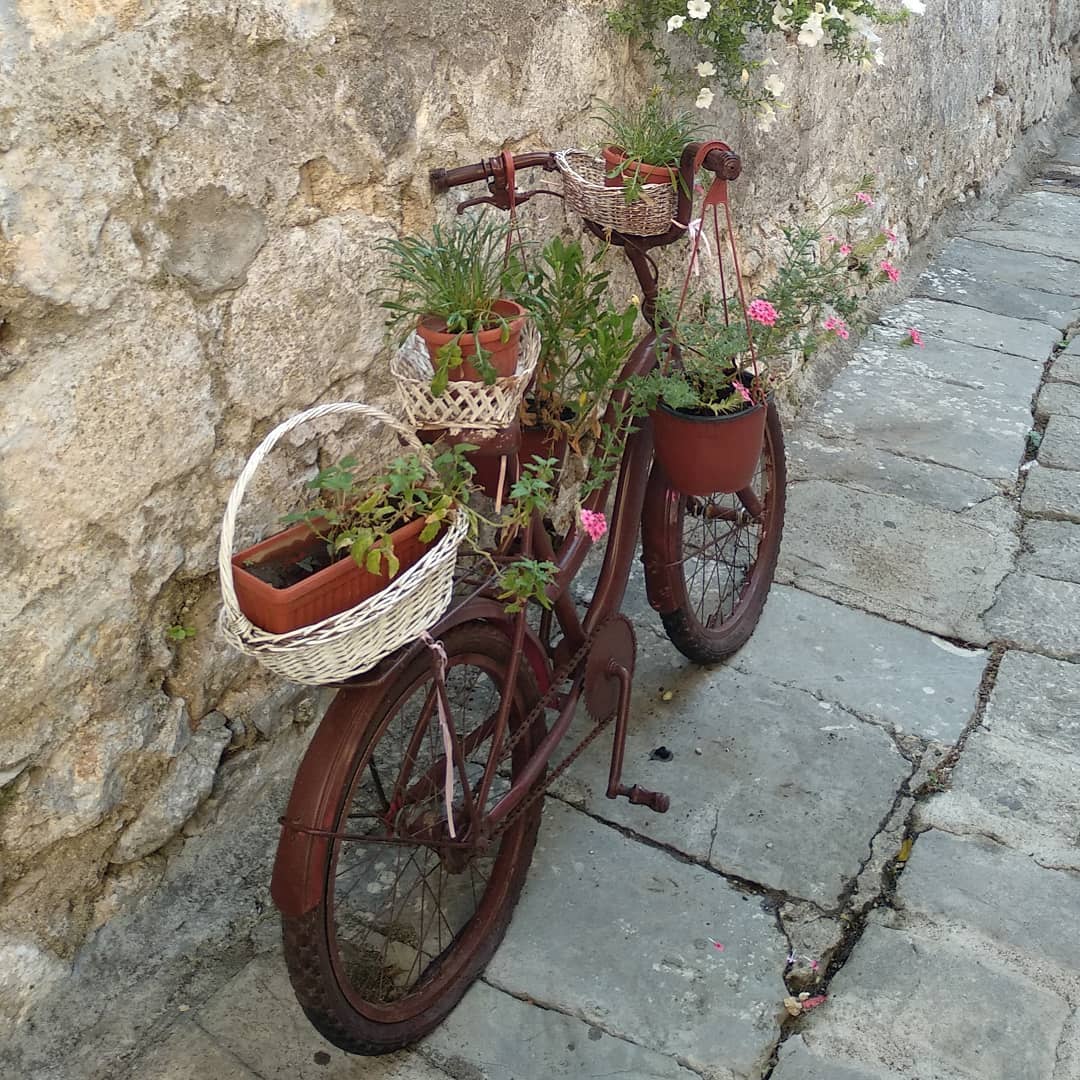 @martatortosac "Repartint flors a Kotor"