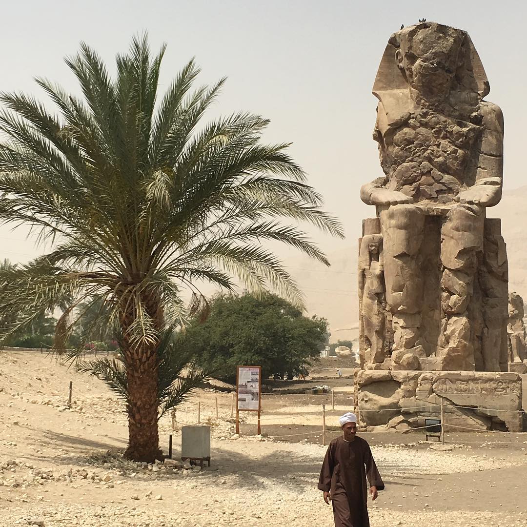 @mcs0203 "Memnon&Me"