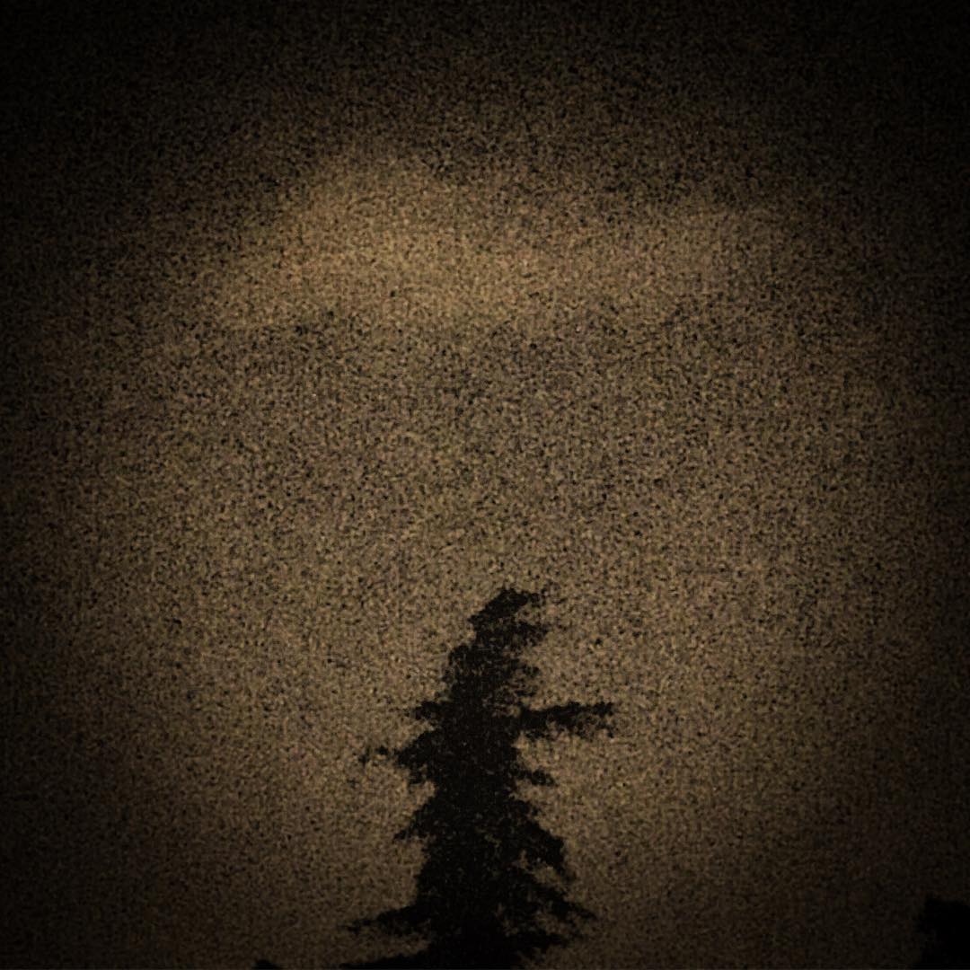 @mimuvanessa "frommywindow"