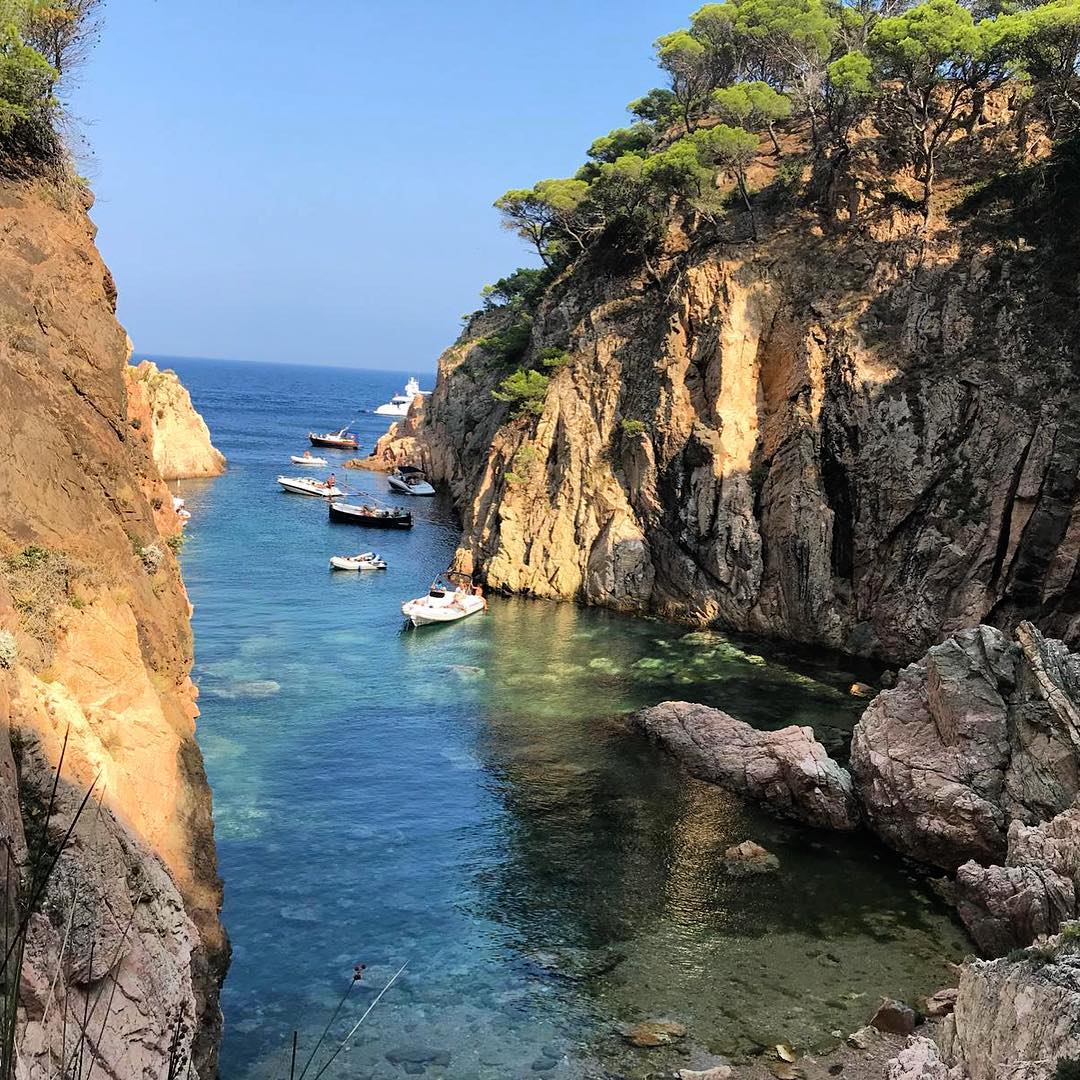 @monicacarne  "I want endless summer"