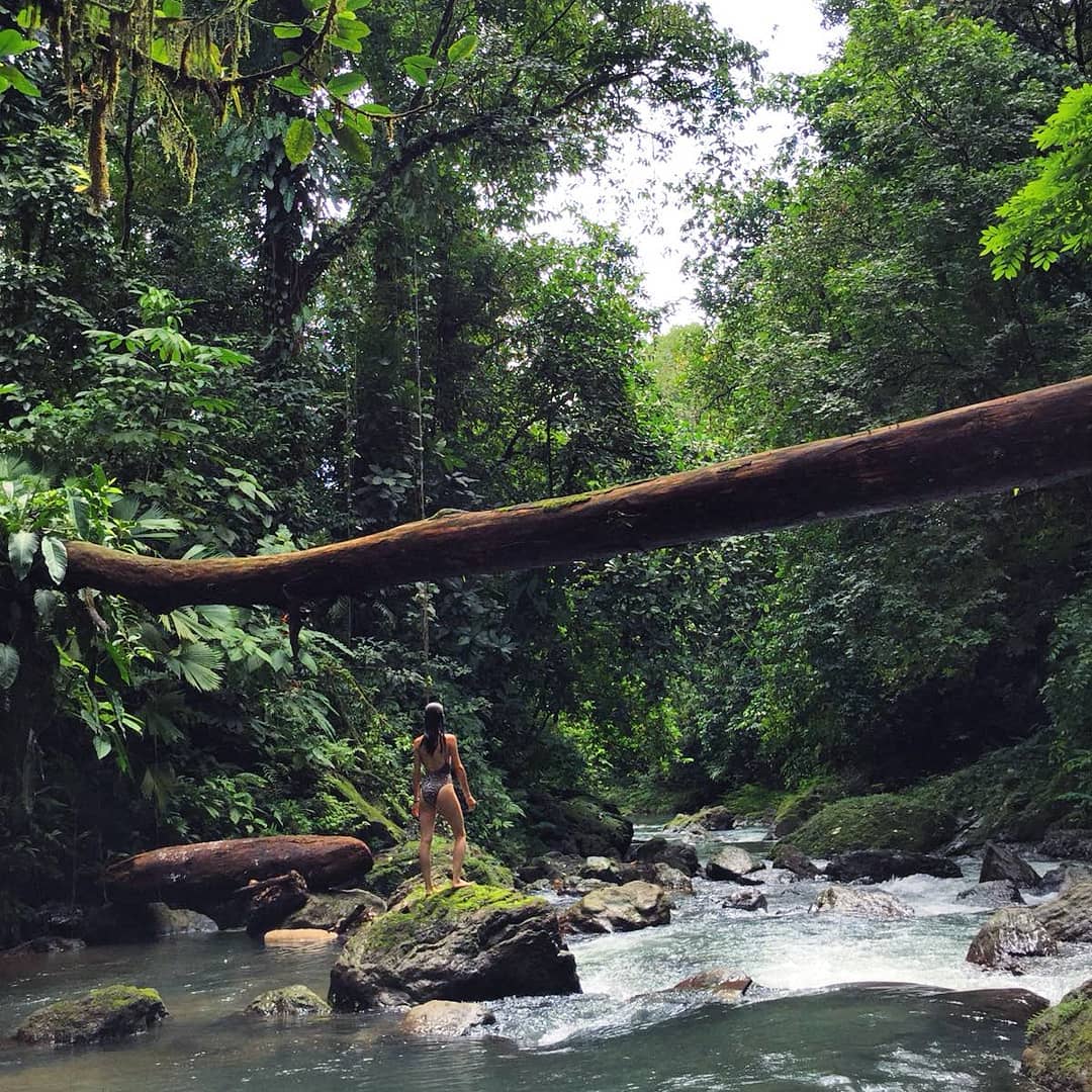 @montoliumarta "j u n g l e"