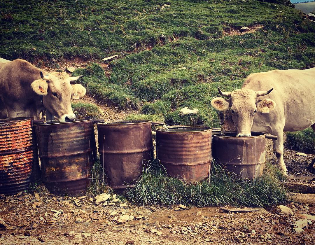 @my world our planet "Today i learned a lesson"