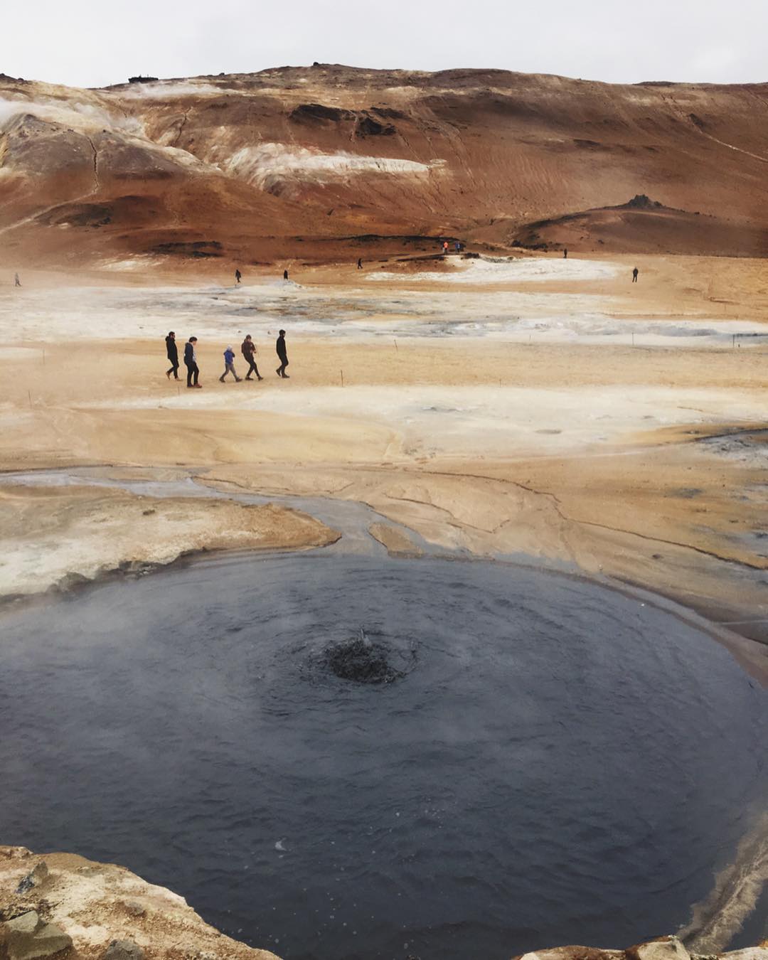 @nizcovich  "Iceland, can you adopt me?"