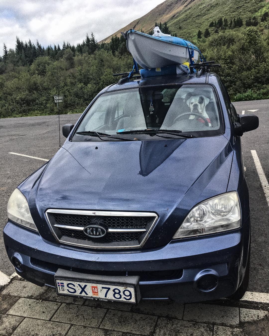 @nizcovich "¿Persona o perro?"