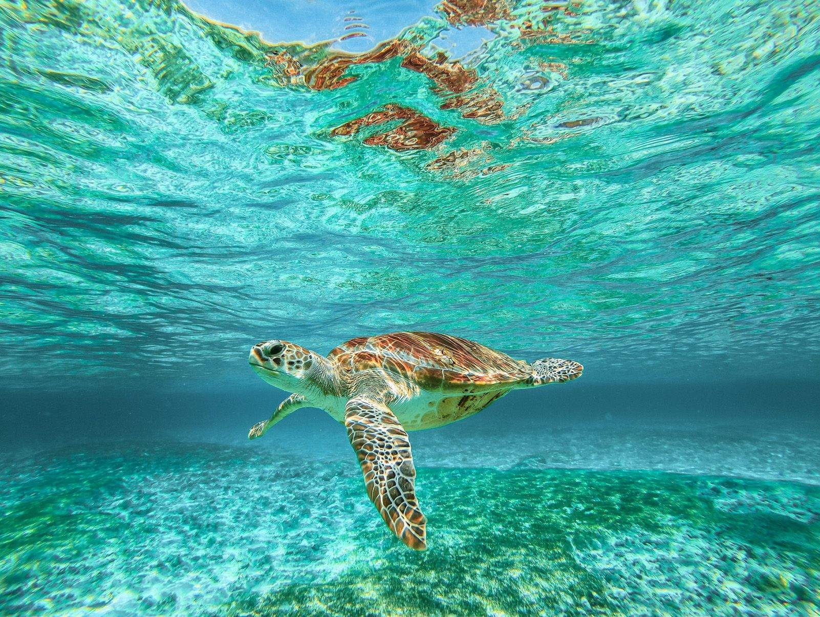 7è Premi categoria Viatjes. "Viure entre dos mons" de Gonzalo Pasquier Villares