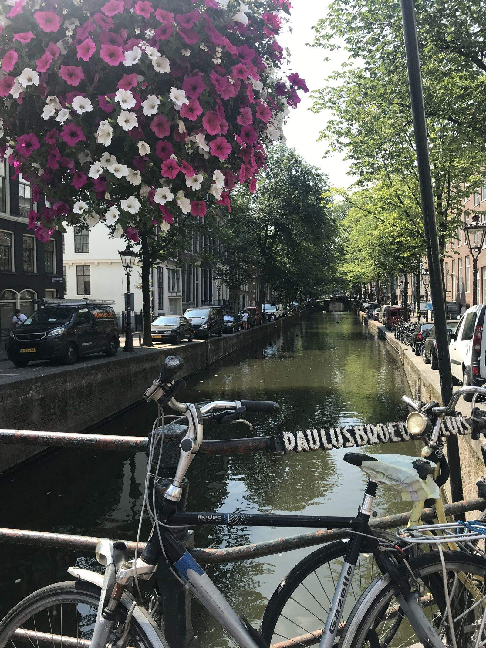 Ainhoa Miró Pérez de Lazárraga "Estius vora del riu"